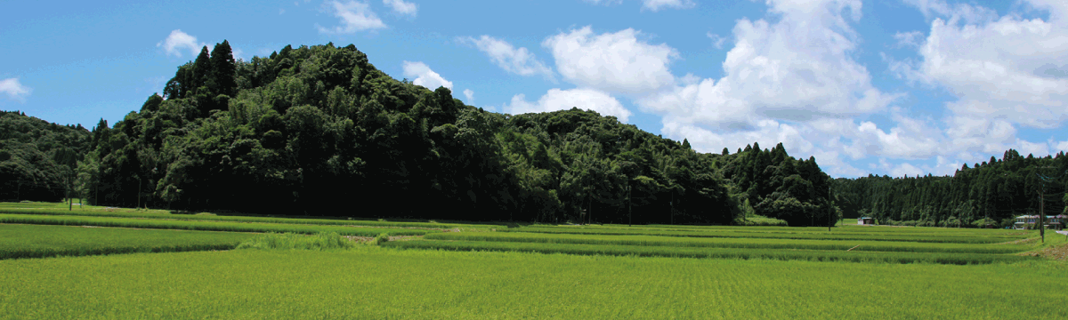 千葉県睦沢町岩井