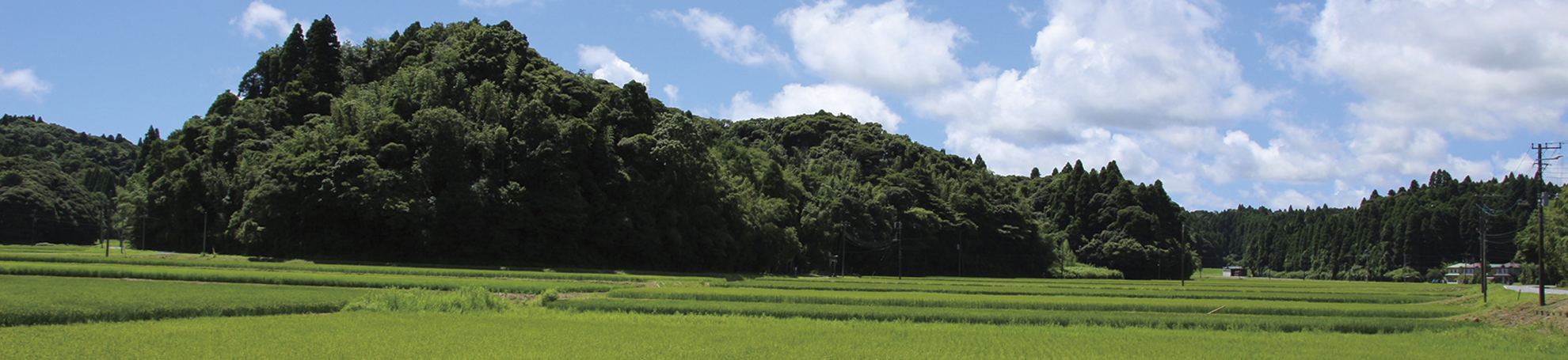 千葉県むつざわ町岩井