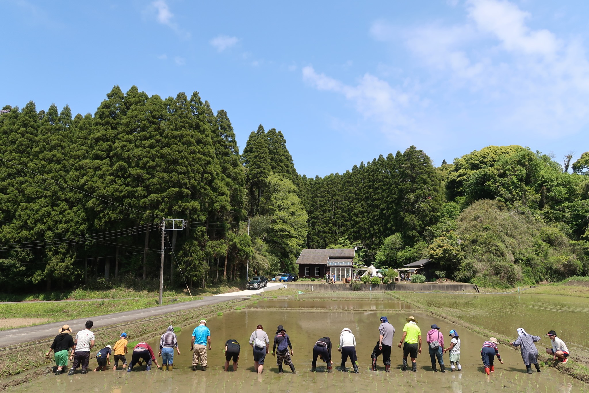 田植えワークショップ
