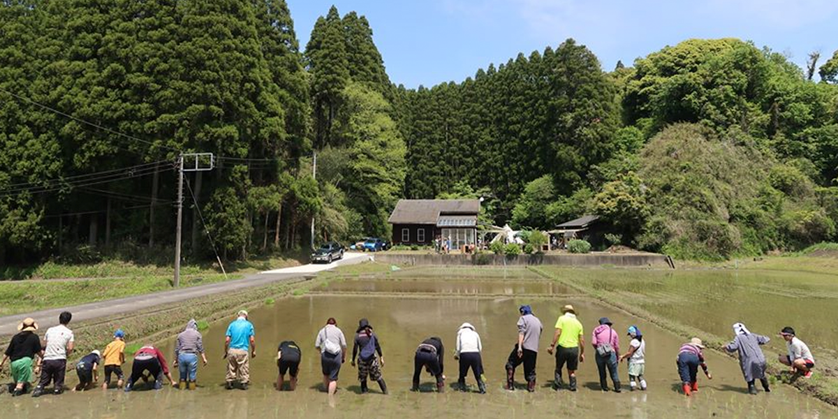 岩井ファーム　里山ソーシャルデザイン　