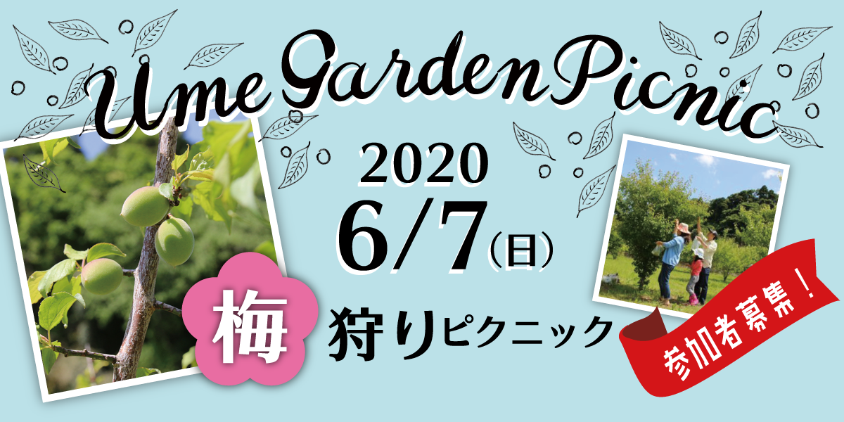 2020梅狩り