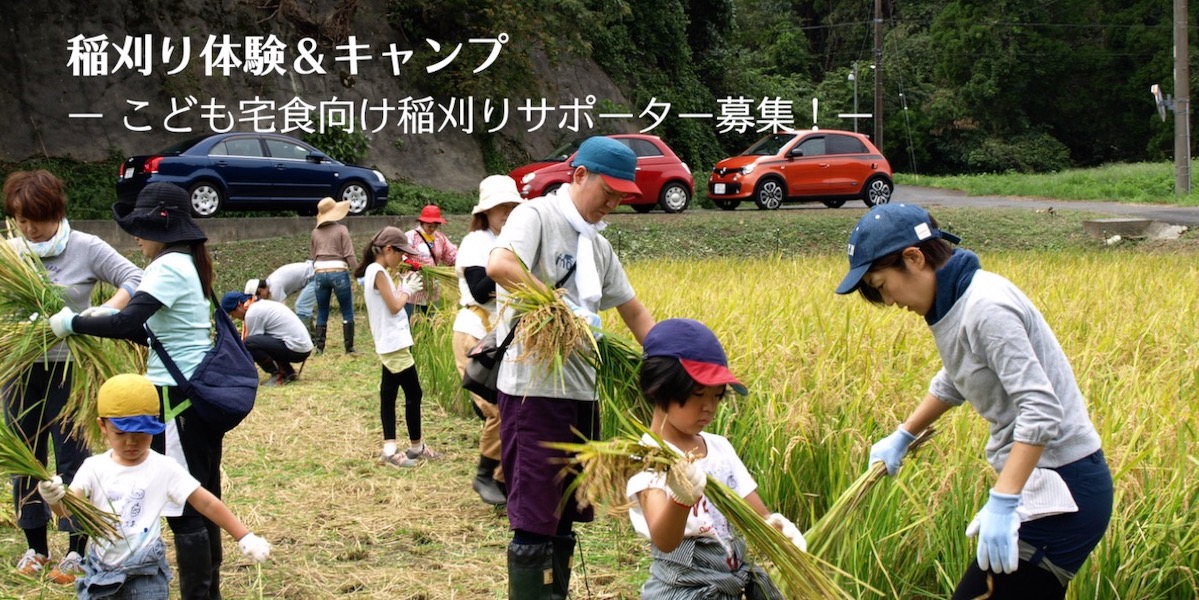 稲刈り募集