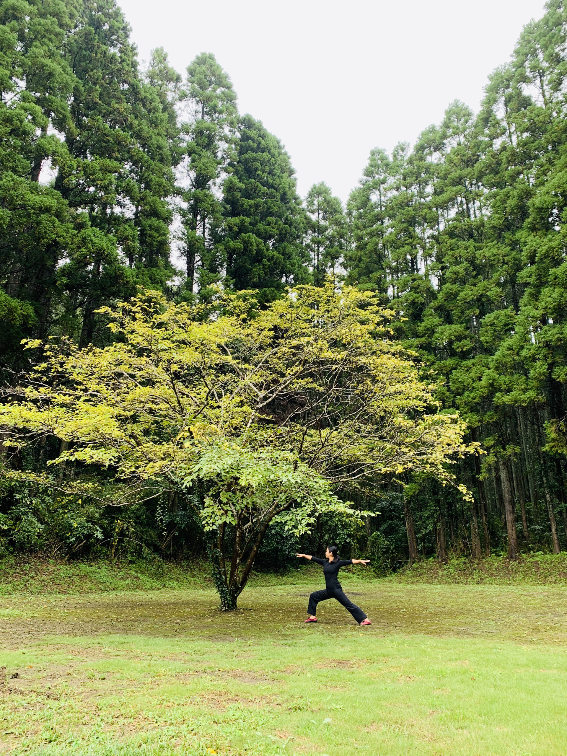 岩井ファーム_里山ソーシャルデザイン