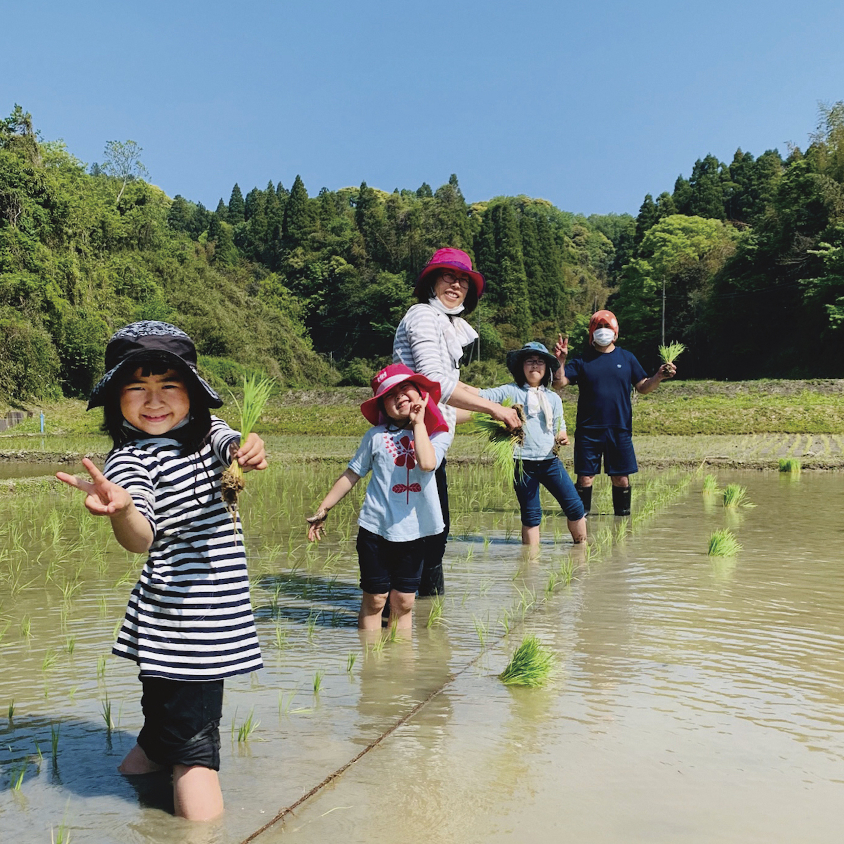 1人１年分の米づくり　トランローグ田植え