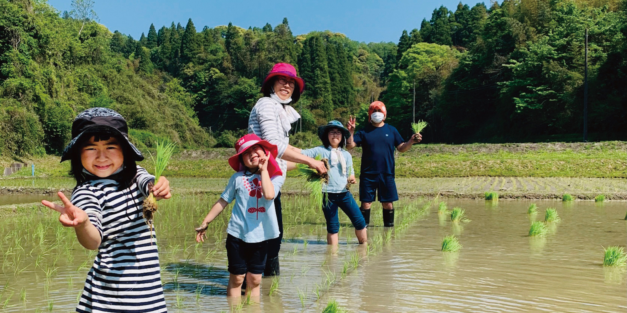 1人１年分の米づくり　トランローグ田植え