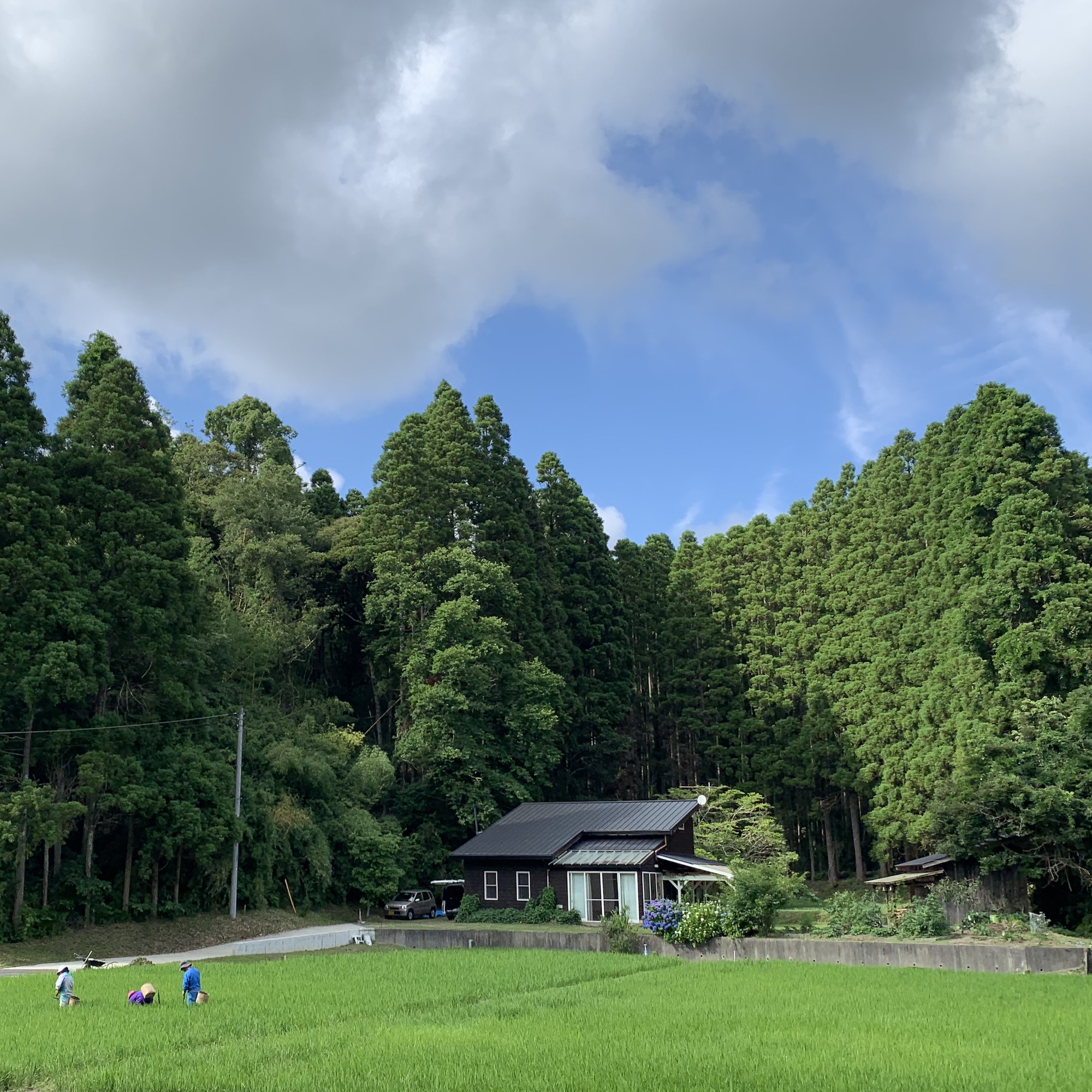 岩井ファーム外観