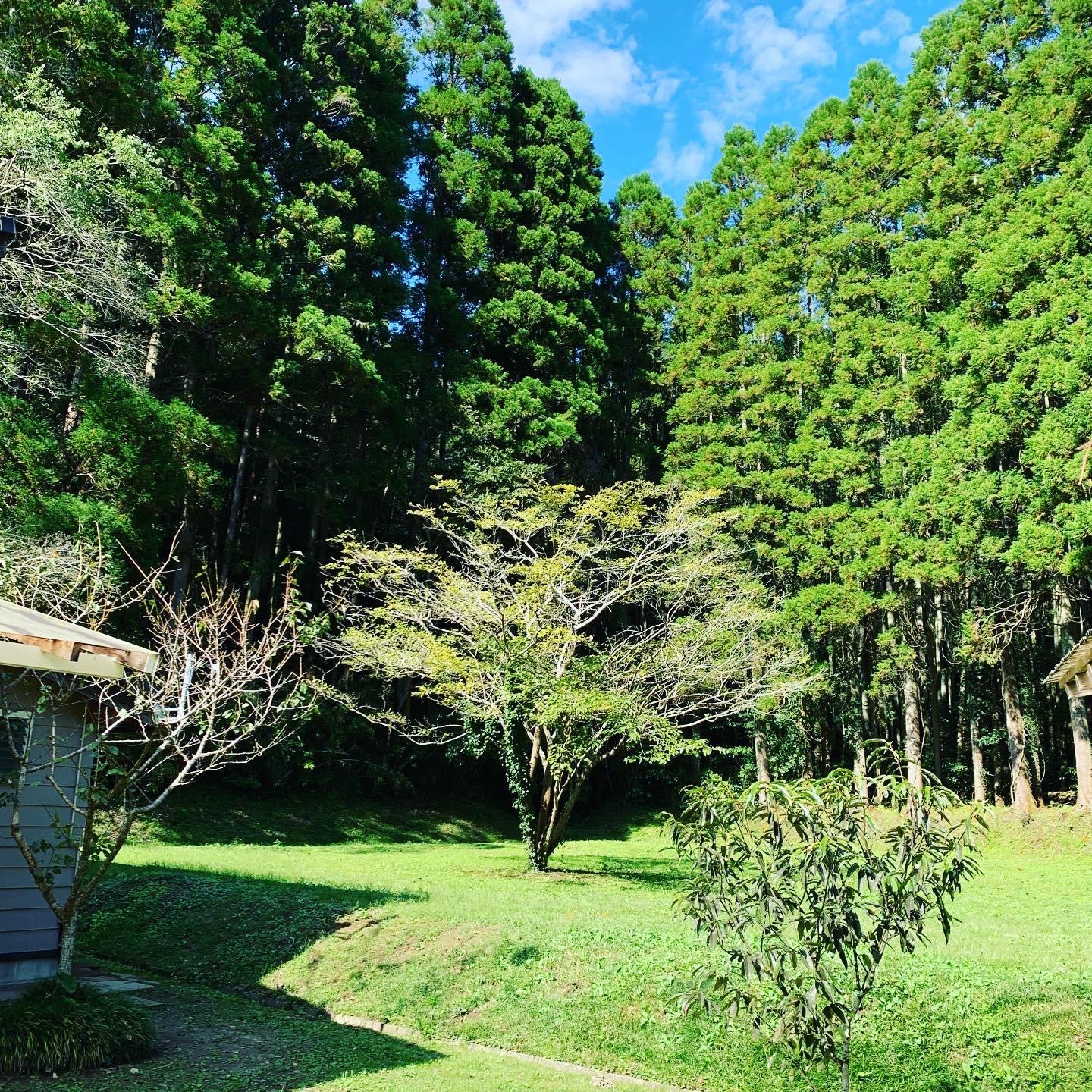 岩井ファーム　里山ソーシャルデザイン