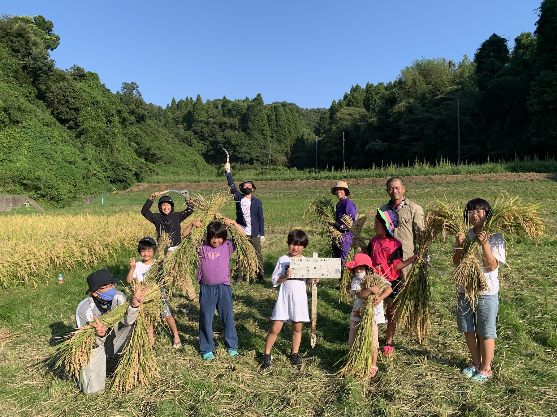 トランローグ1人１年分米づくり