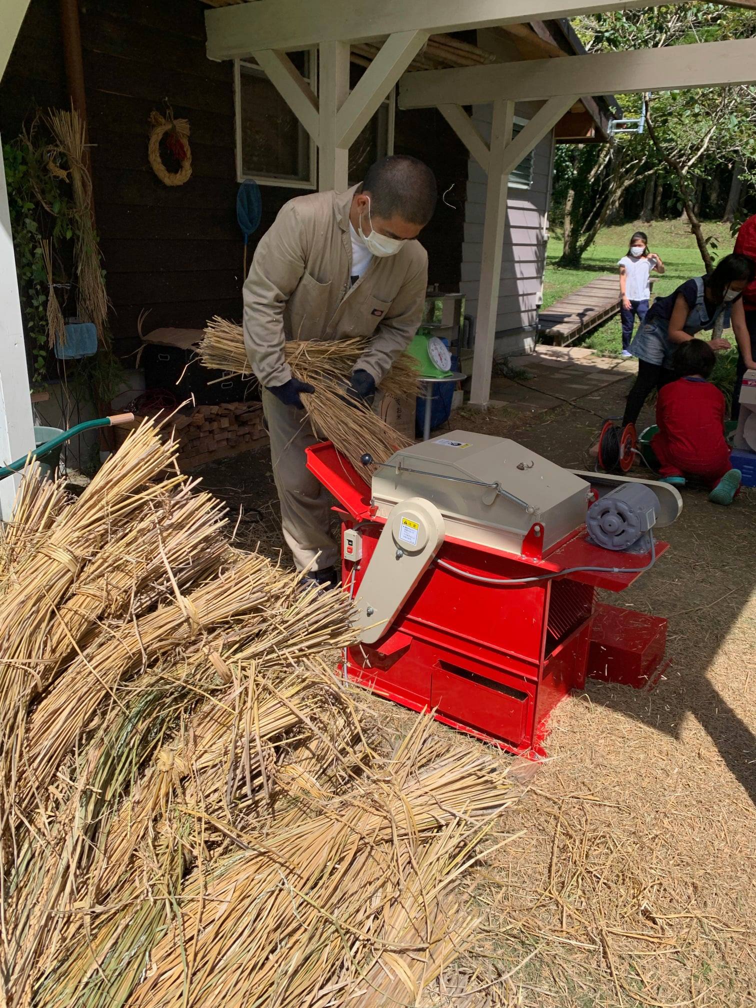 トランローグ1人１年分米づくり