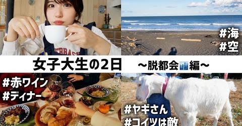 ユーチューバーかこちん