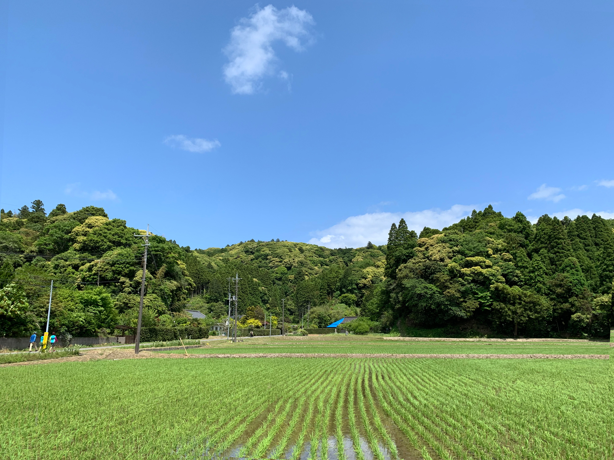 高藤山_高藤城跡
