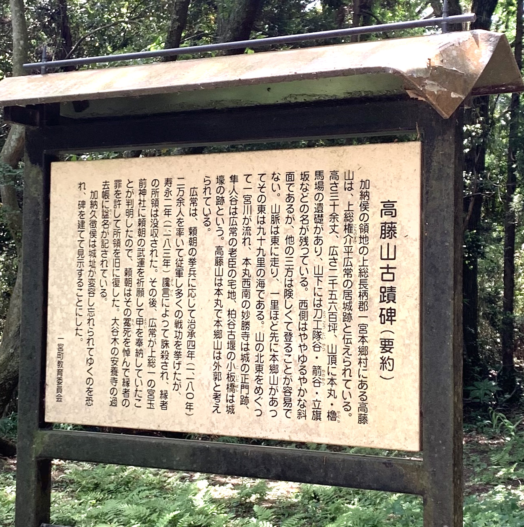 高藤山_高藤城跡