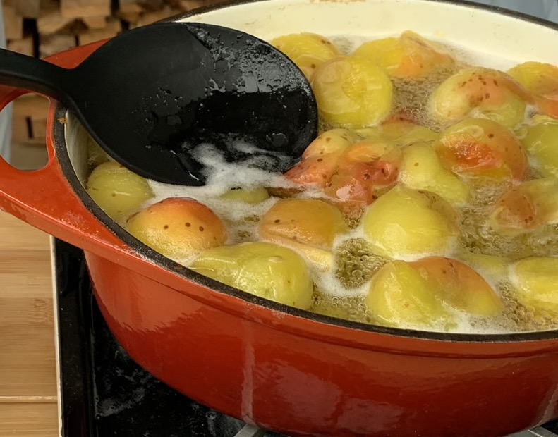 睦沢町　梅狩り梅しごと