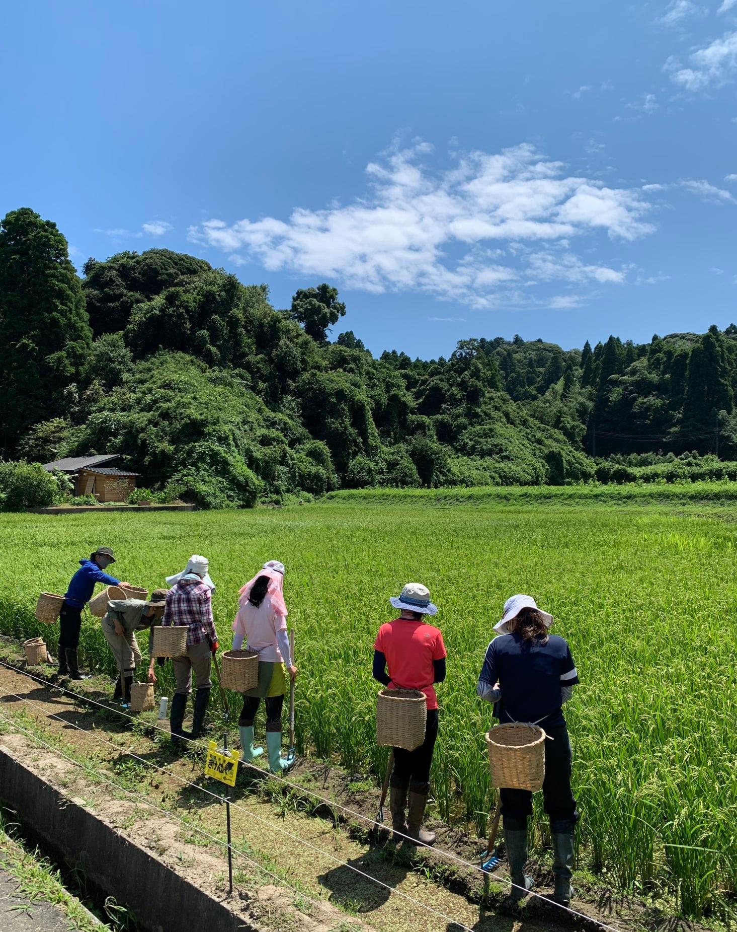 岩井ファーム・里山応援隊