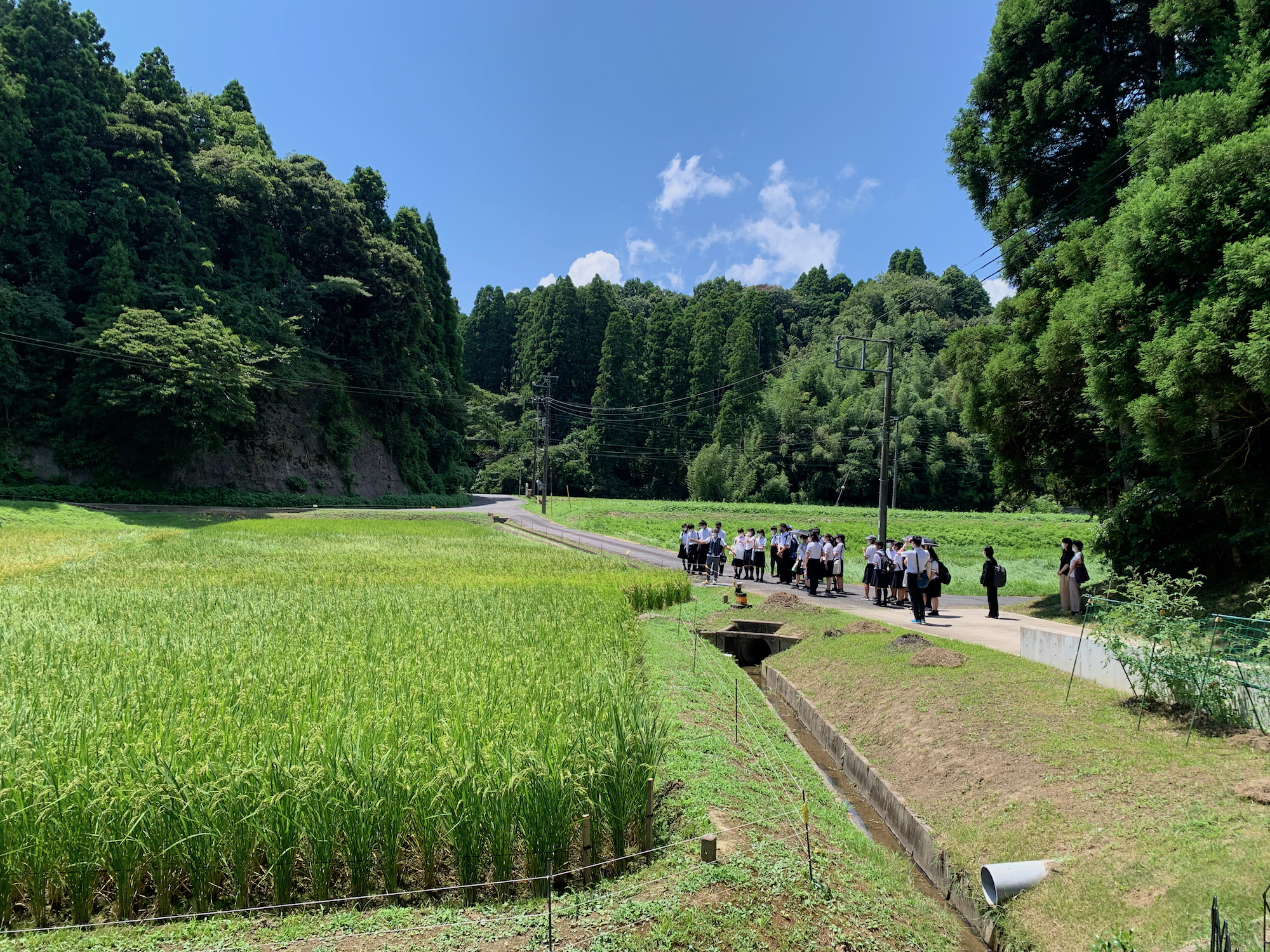 講演　研修　セミナー