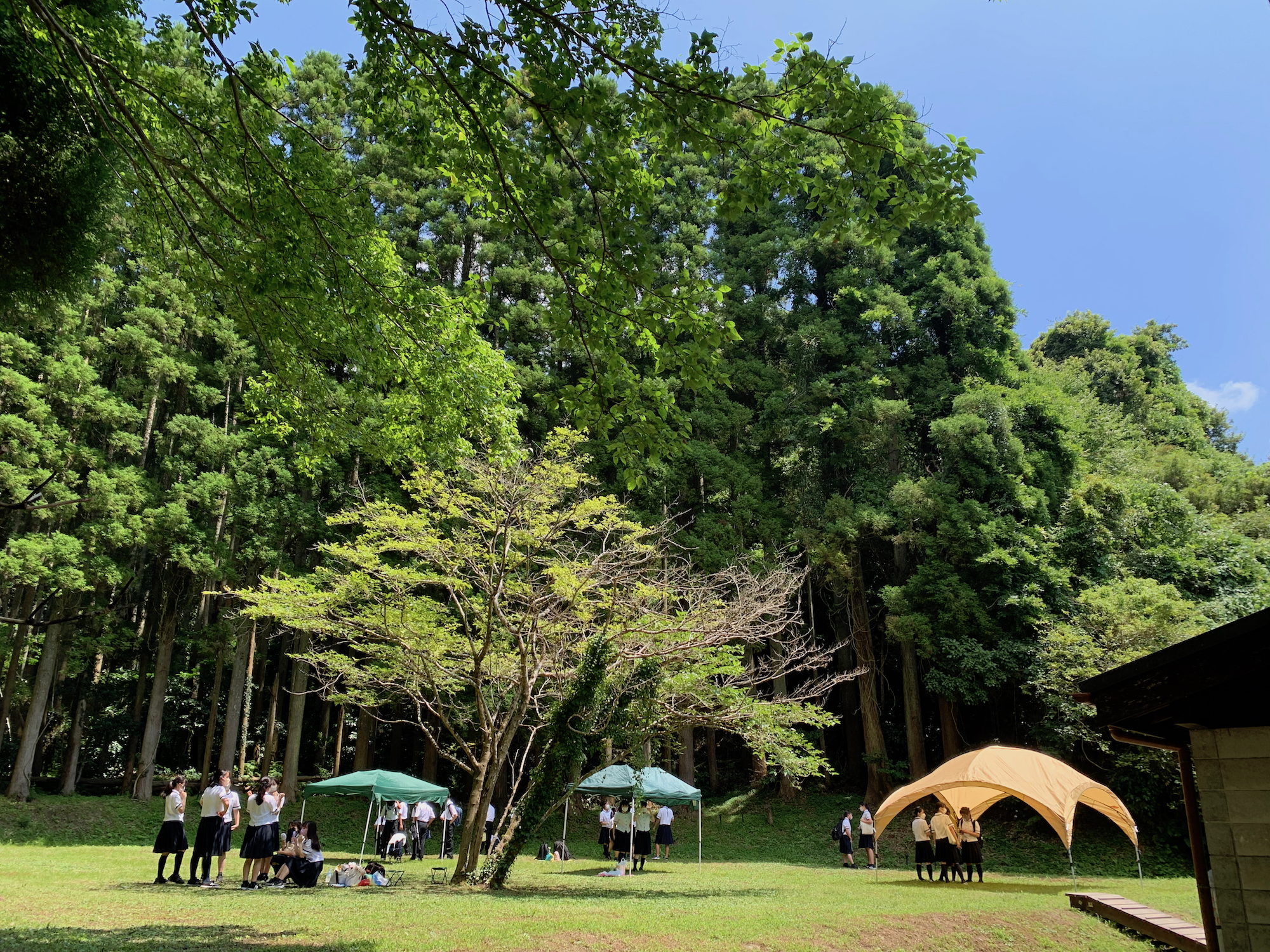 講演　研修　セミナー