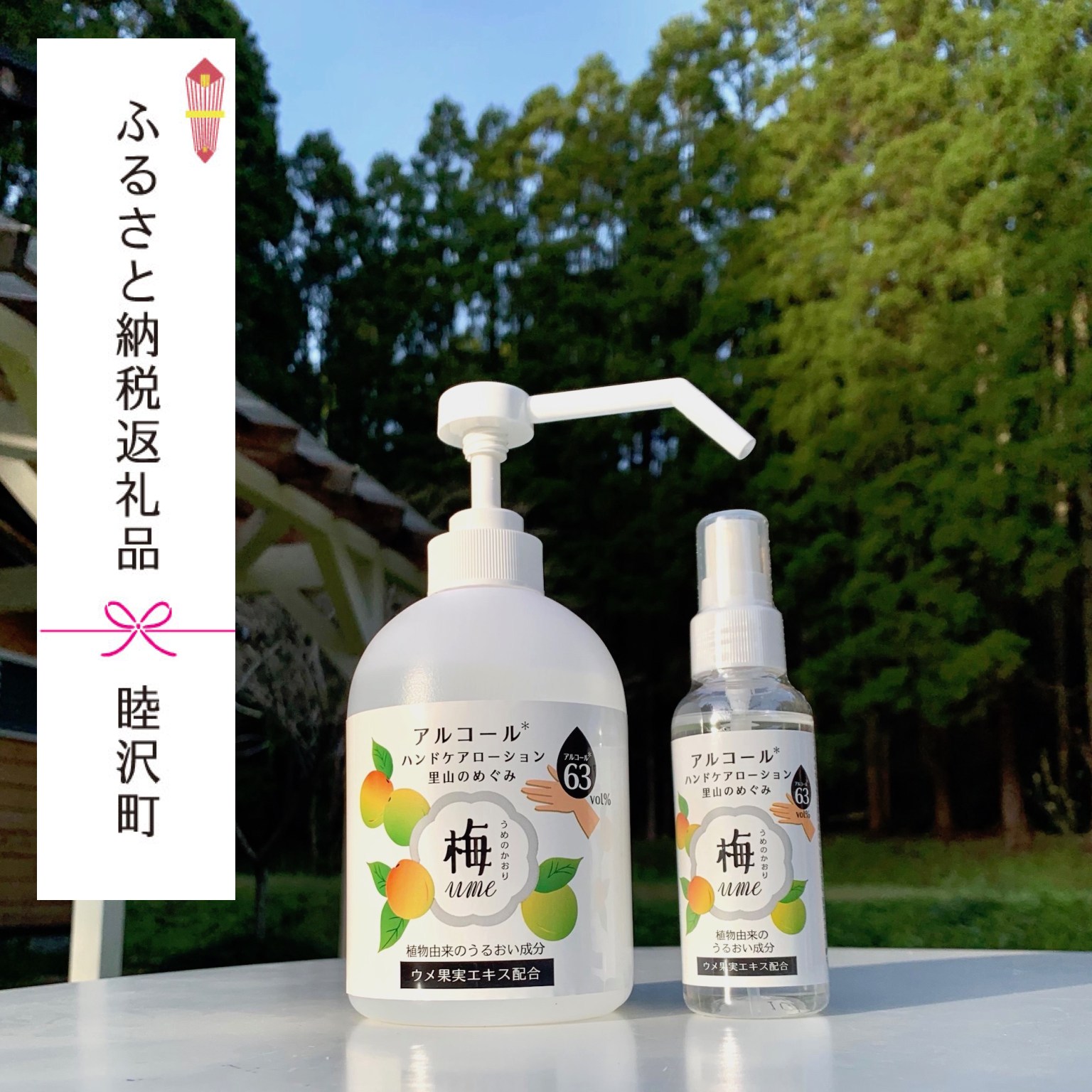 ふるさと納税 返礼品　消毒液