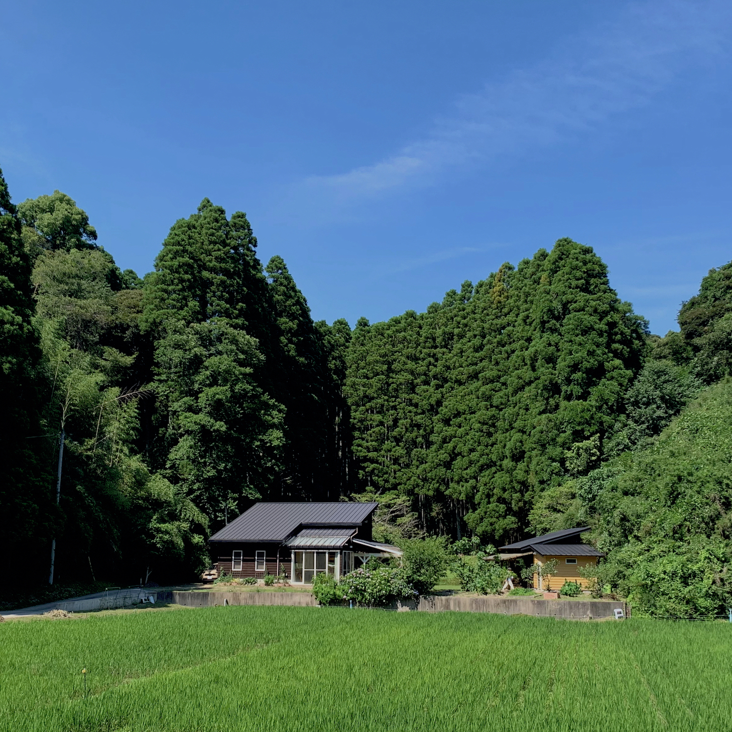 岩井ファーム　ゲストハウス