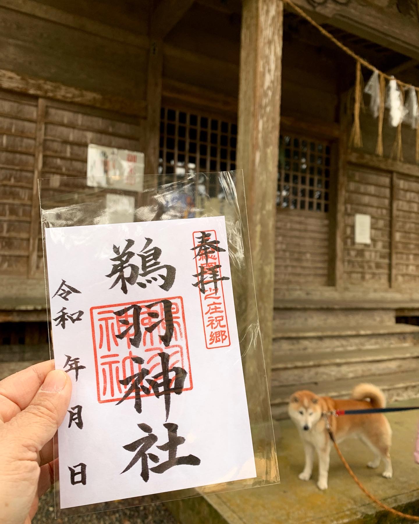 鵜羽神社　御朱印