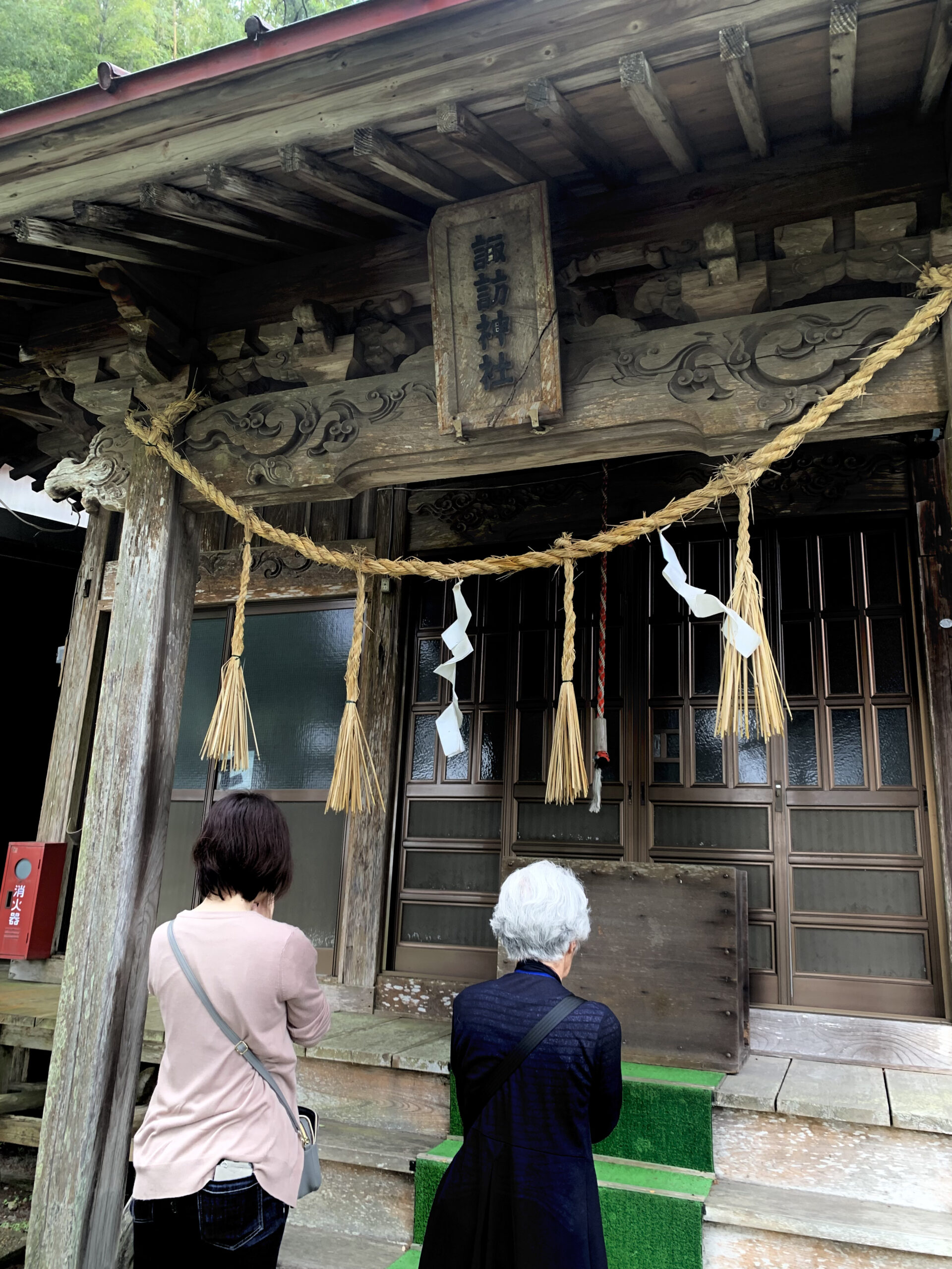 睦沢町　諏訪神社 クスノキ 瞳のトンネル