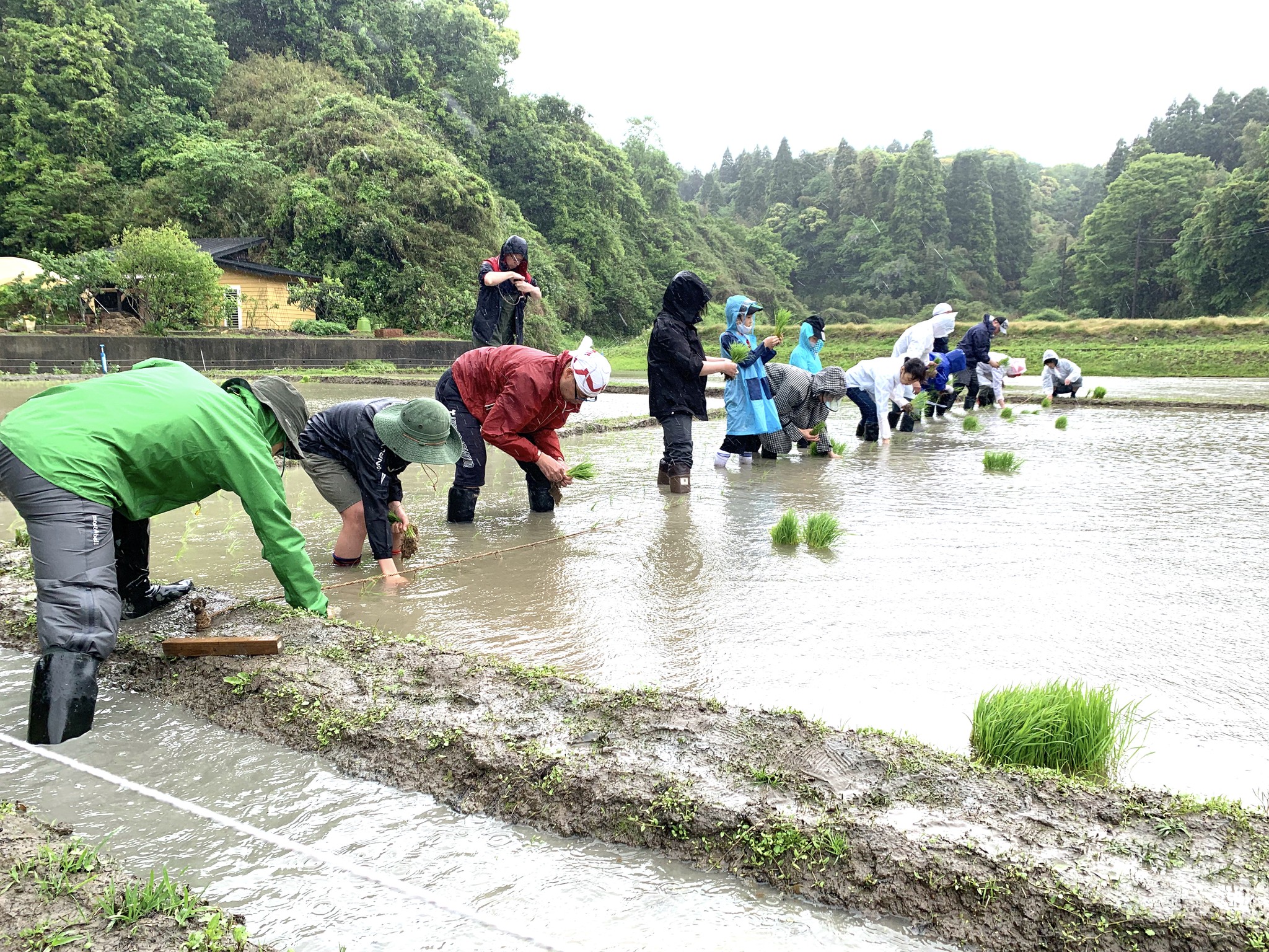 1人1年分の米づくりワークショップ