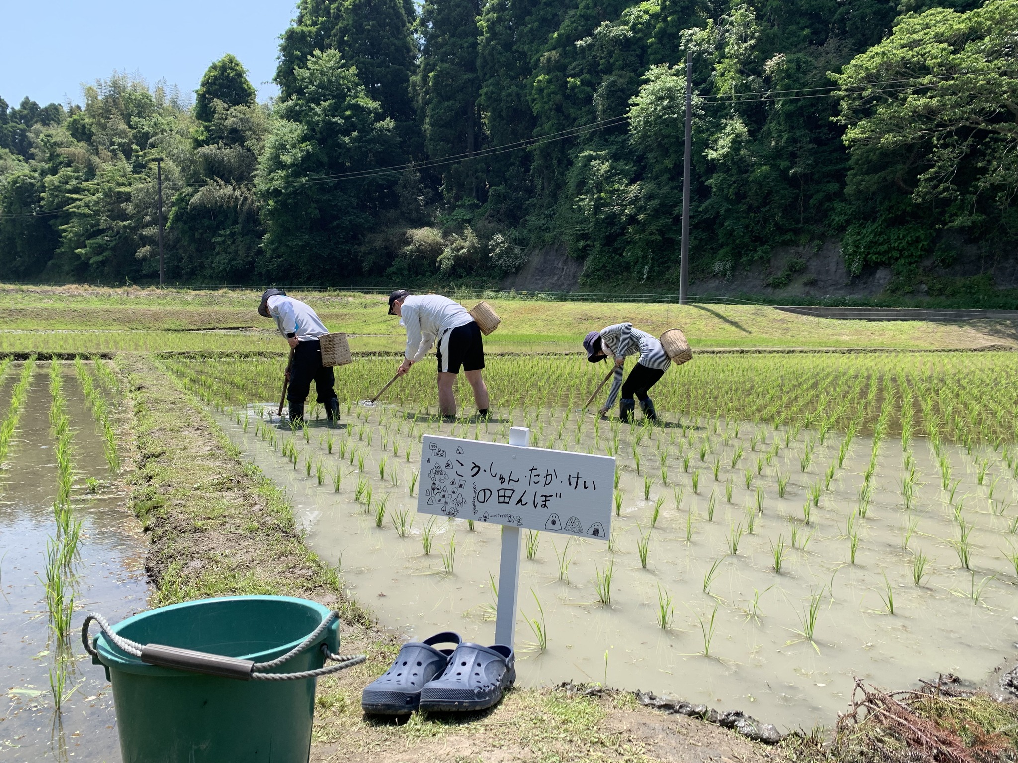 1人1年分の米づくりワークショップ