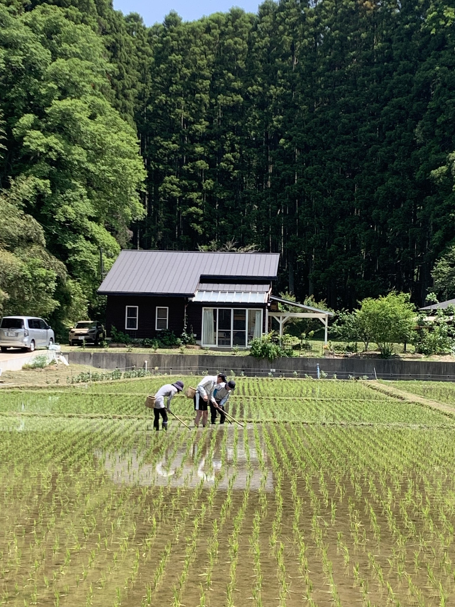 1人1年分の米づくりワークショップ