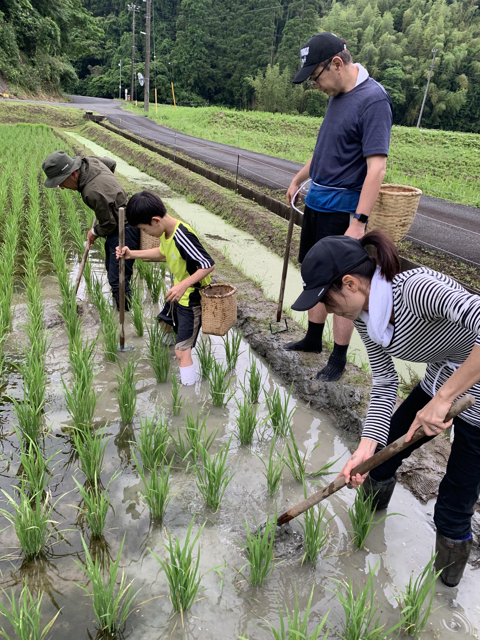 1人1年分の米づくりワークショップ