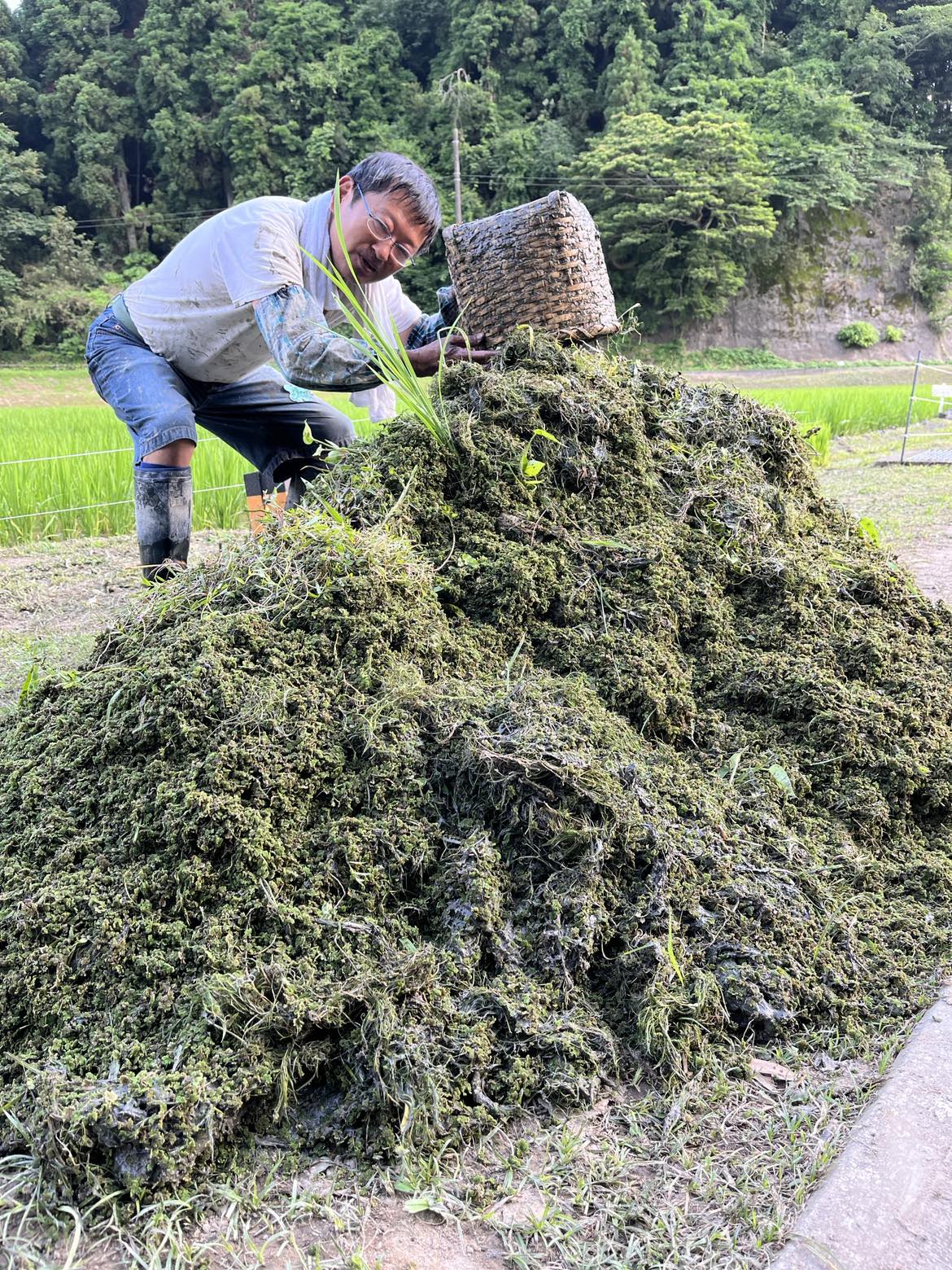 1人1年分の米づくりワークショップ