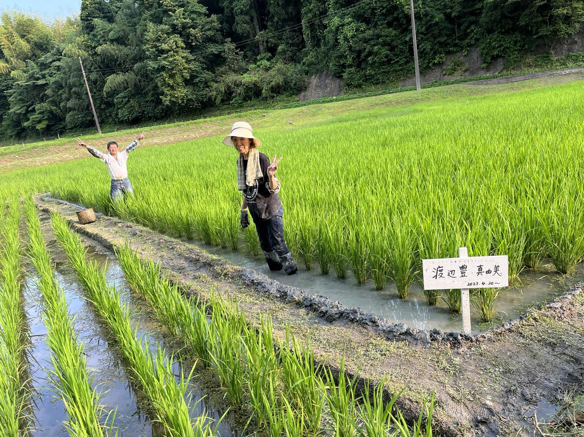 1人1年分の米づくりワークショップ