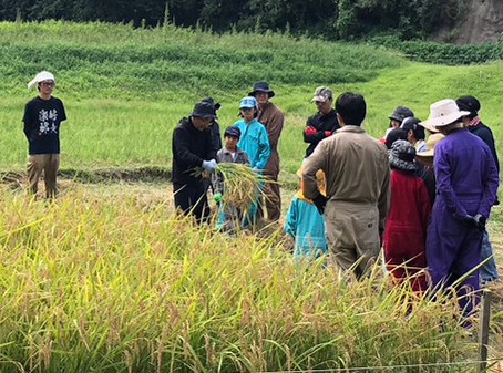 岩井ファーム　千葉県　里山ステイ　めざましテレビ
