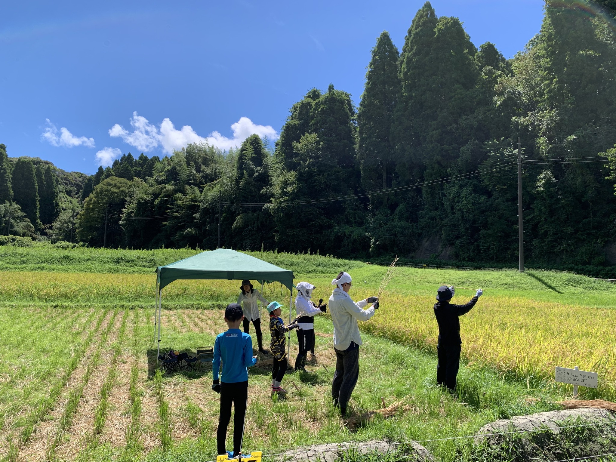 1人1年分の米づくりワークショップ