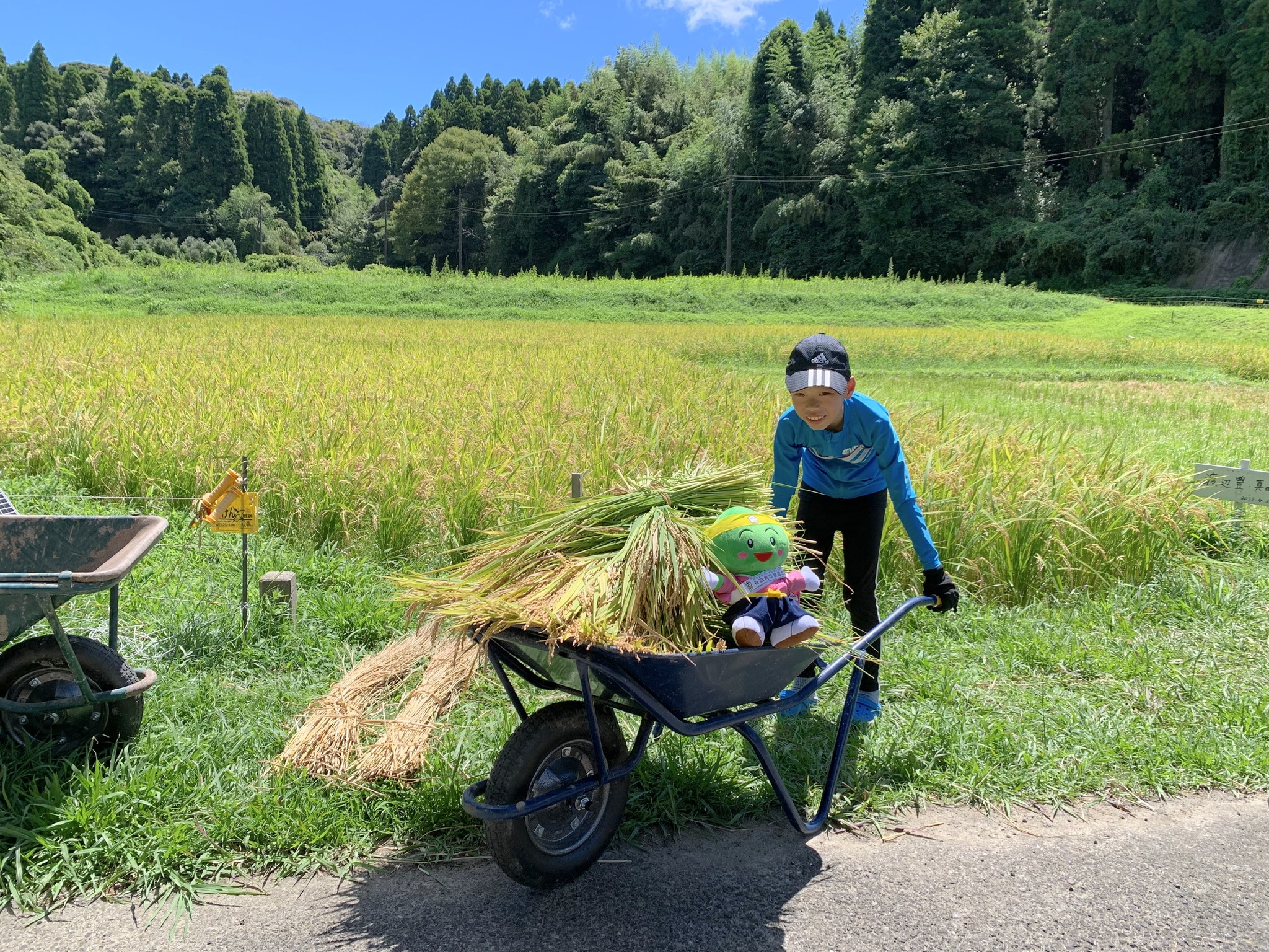 1人1年分の米づくりワークショップ
