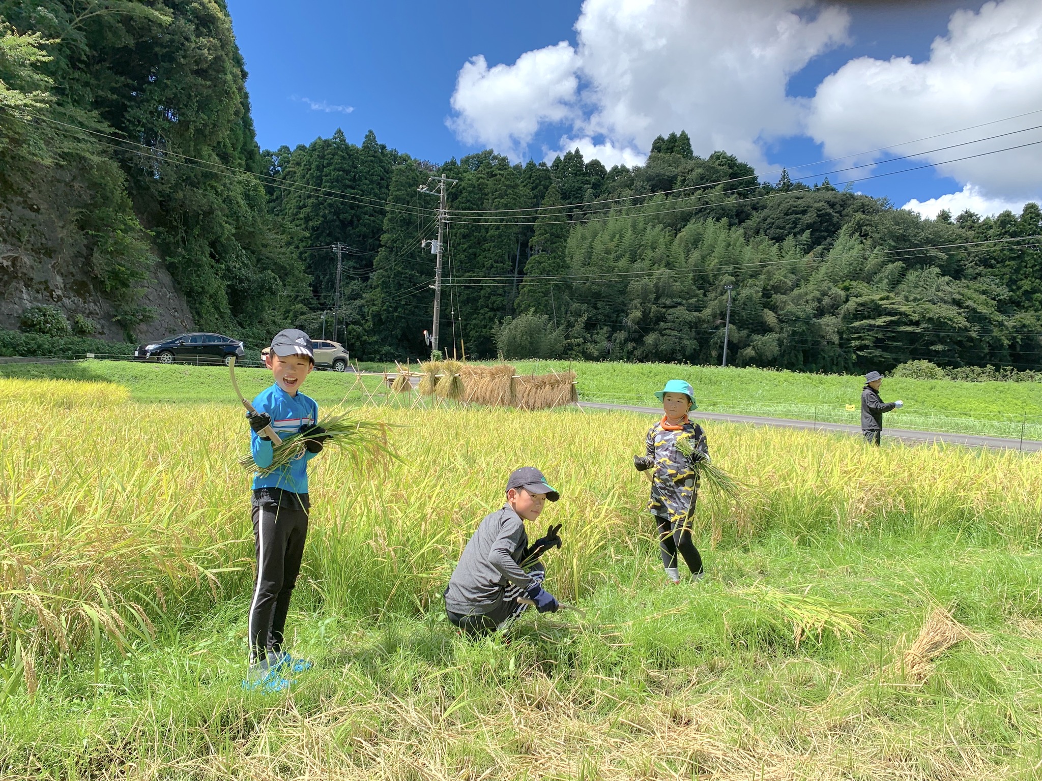 1人1年分の米づくりワークショップ