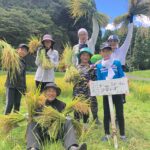 1人1年分の米づくりワークショップ