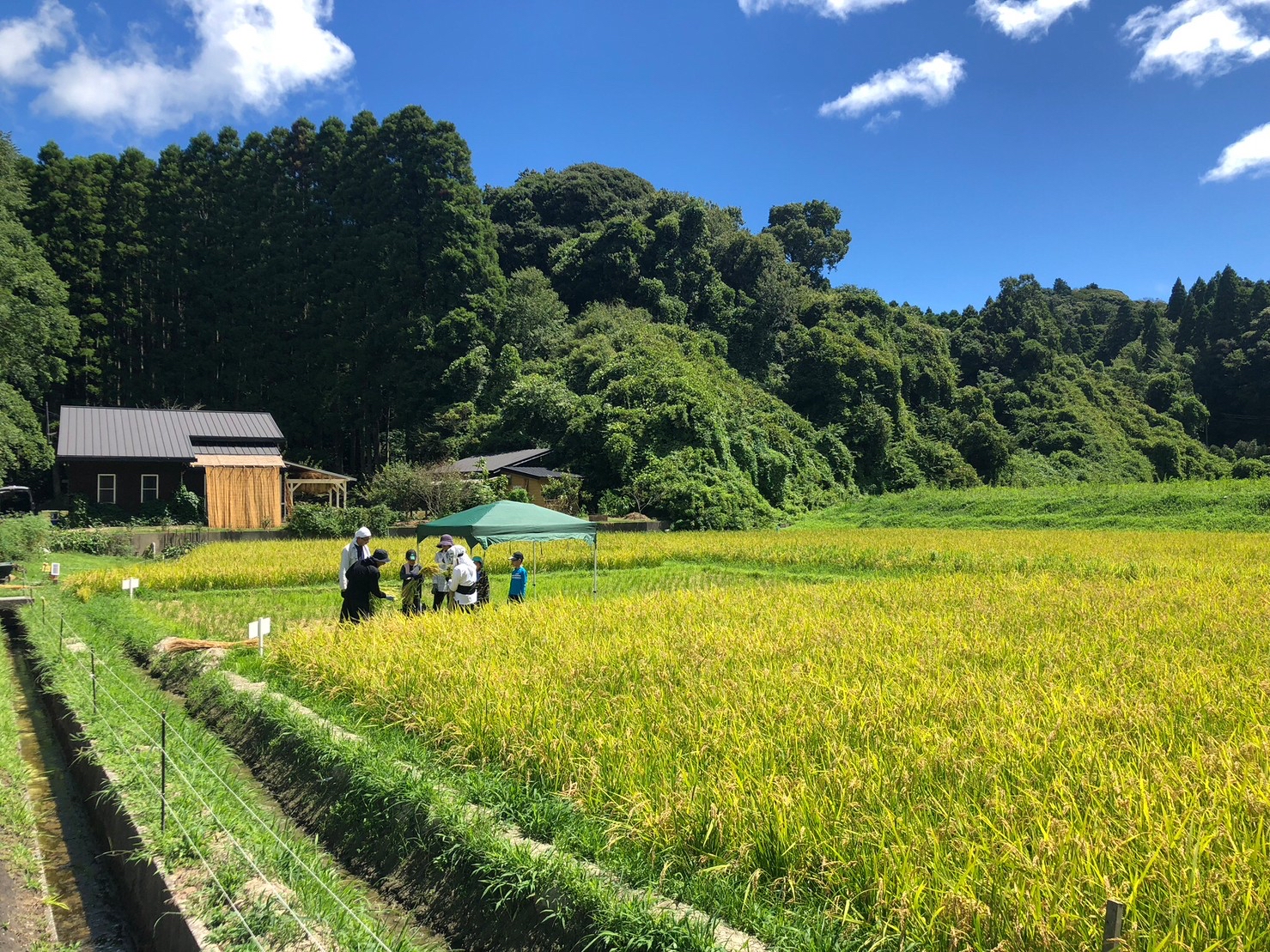 1人1年分の米づくりワークショップ