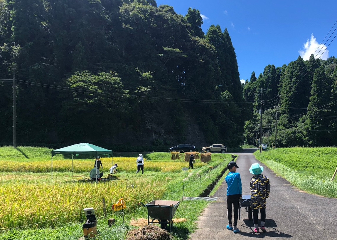 1人1年分の米づくりワークショップ