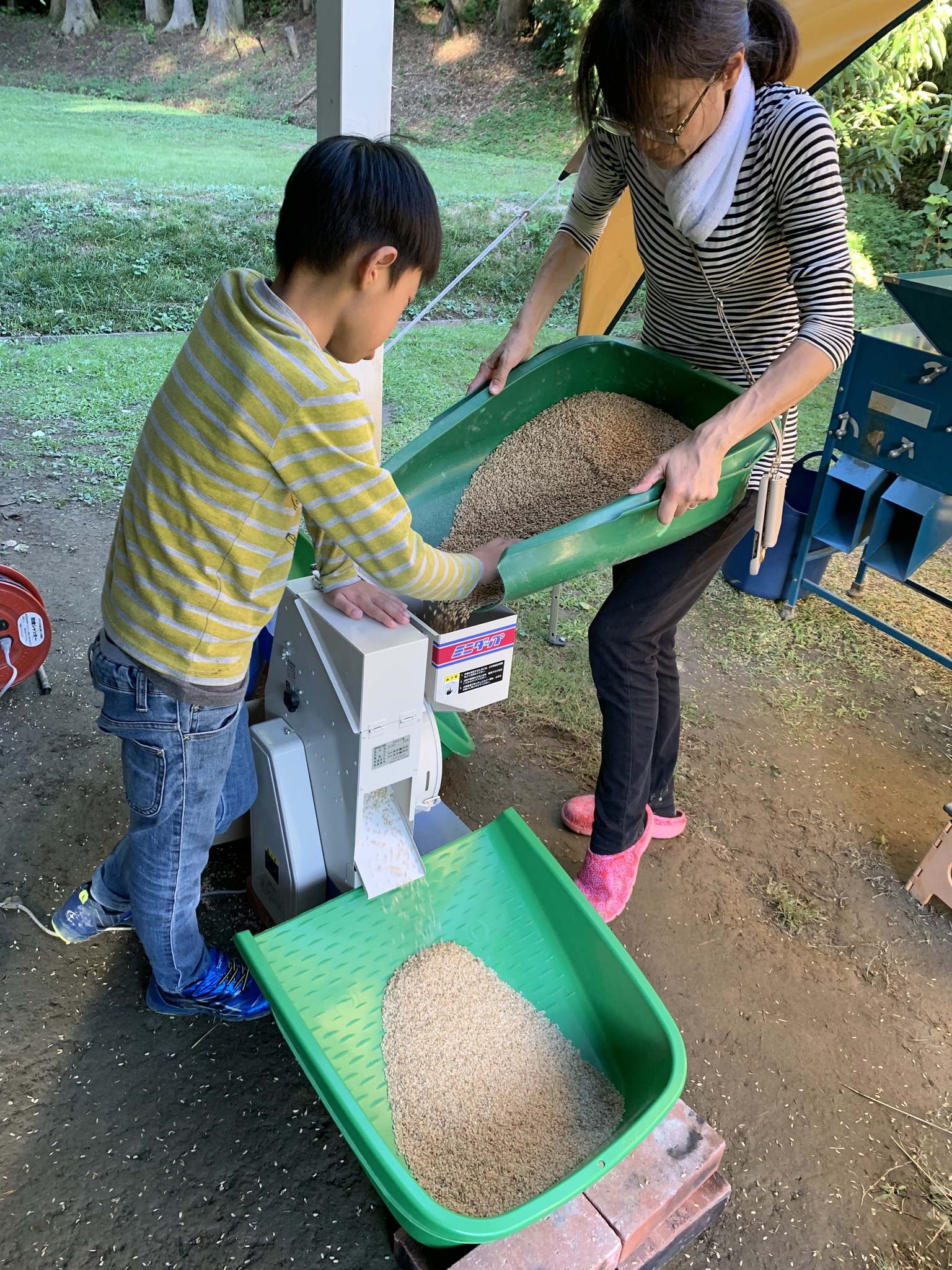 1人1年分の米づくりワークショップ