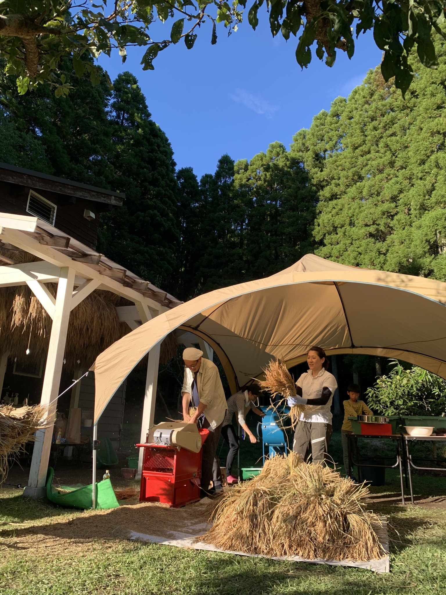 1人1年分の米づくりワークショップ