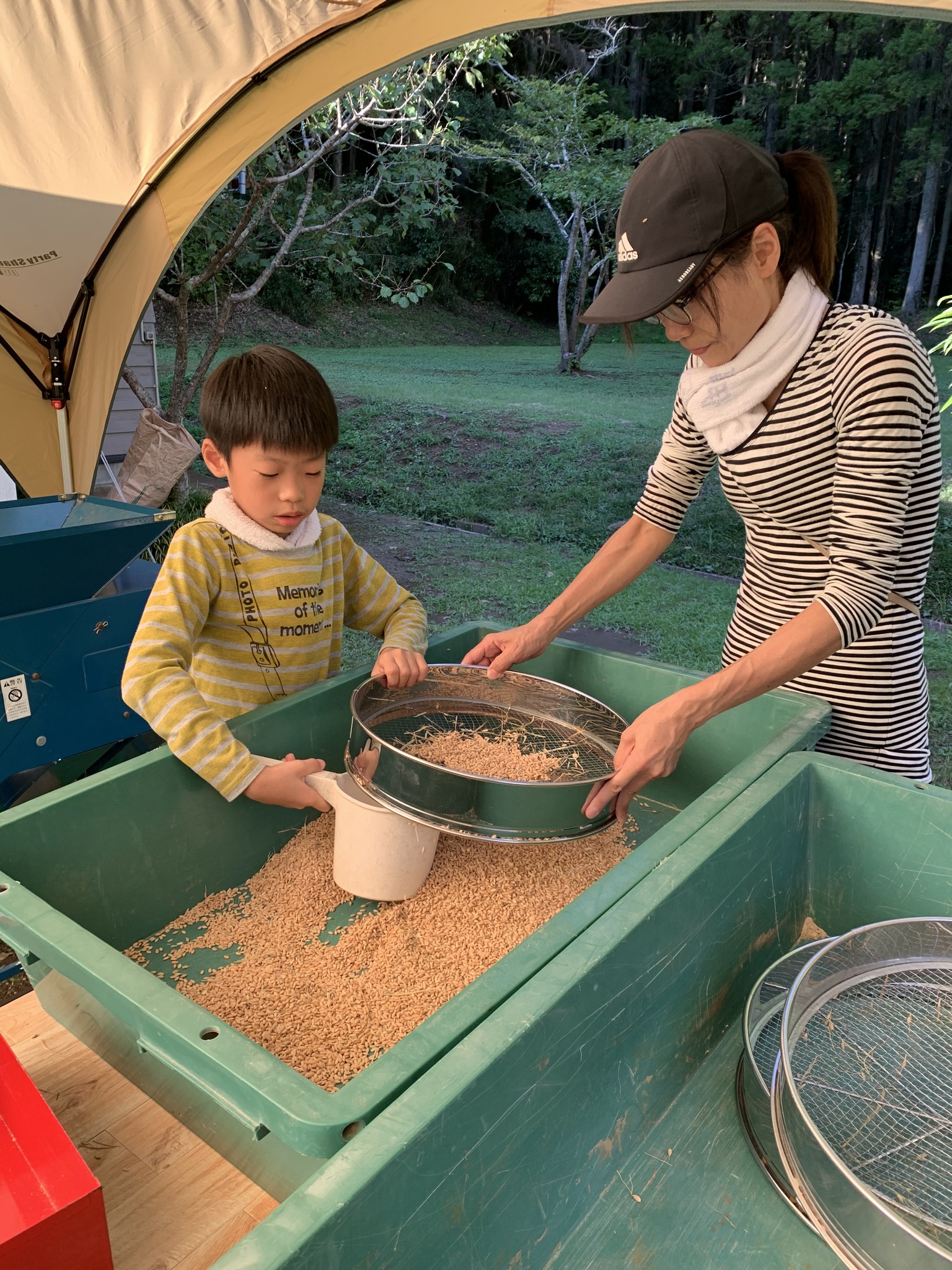 1人1年分の米づくりワークショップ
