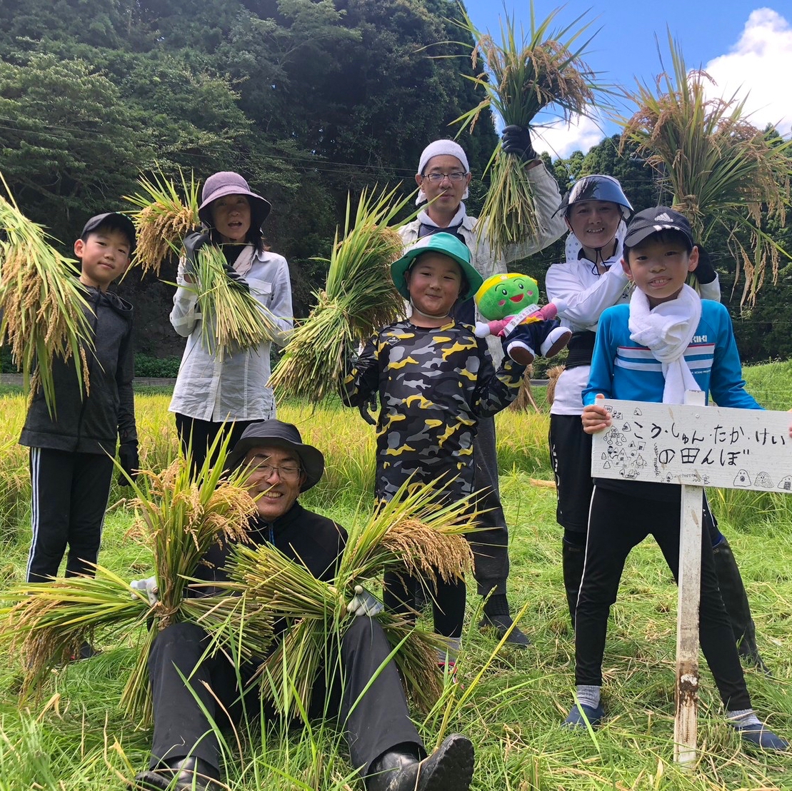 1人1年分の米づくりワークショップ