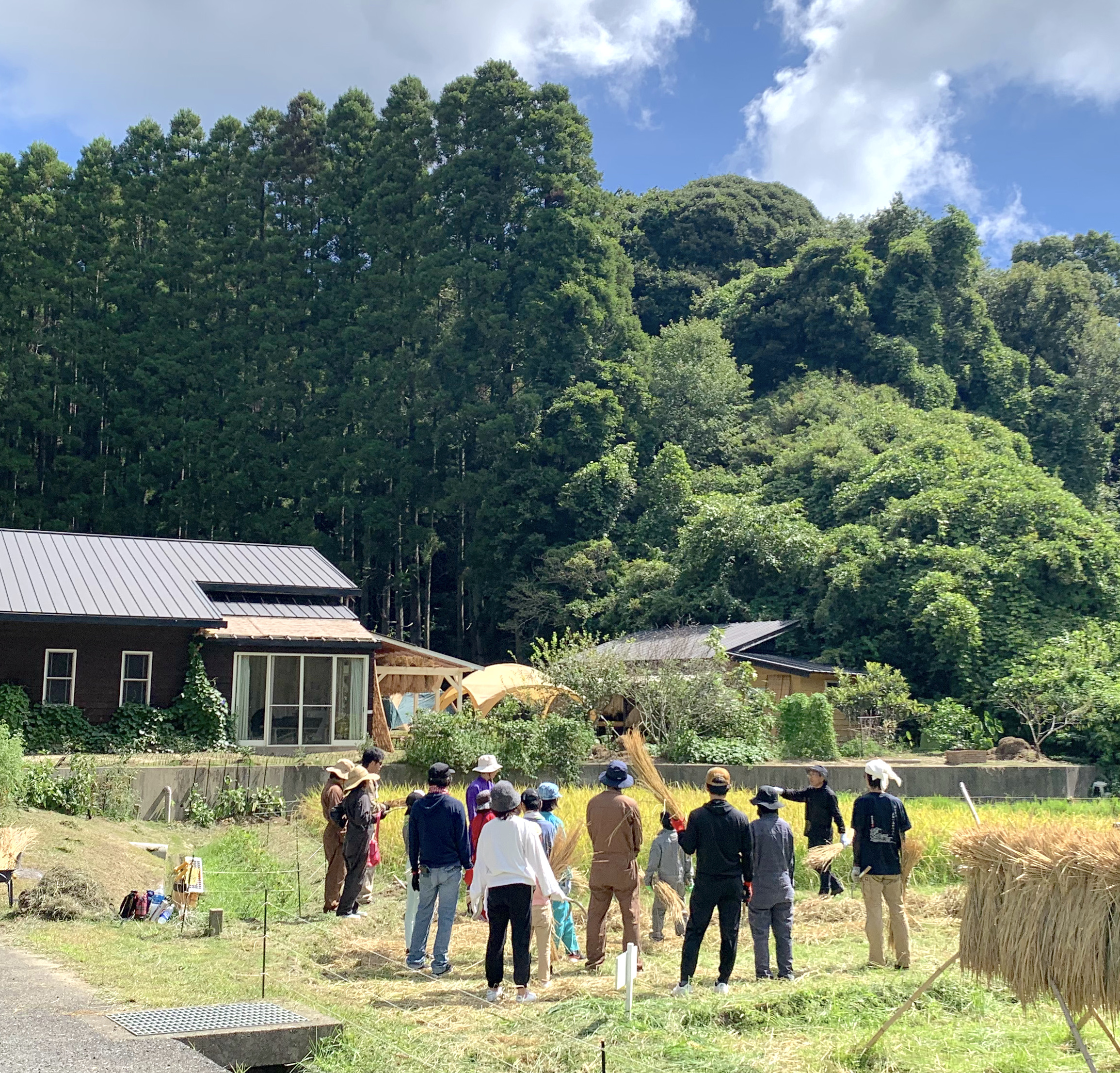 岩井ファーム　千葉県　里山ステイ　めざましテレビ