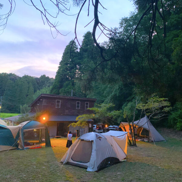 岩井ファーム　千葉県　里山ステイ　めざましテレビ