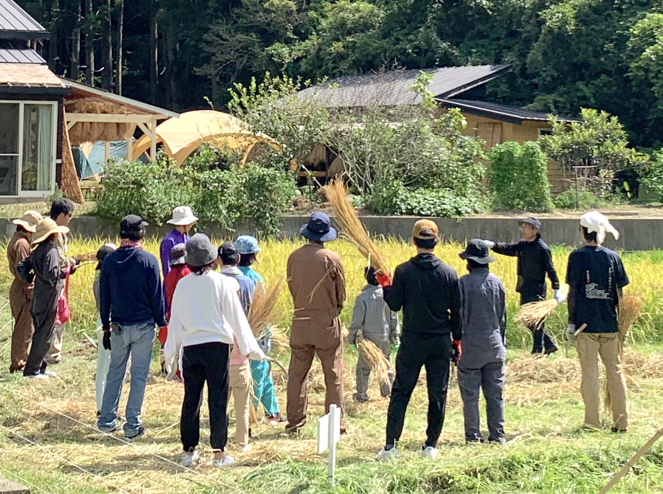 岩井ファーム　千葉県　里山ステイ　めざましテレビ