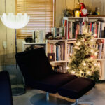 クリスマスツリー　岩井ファーム