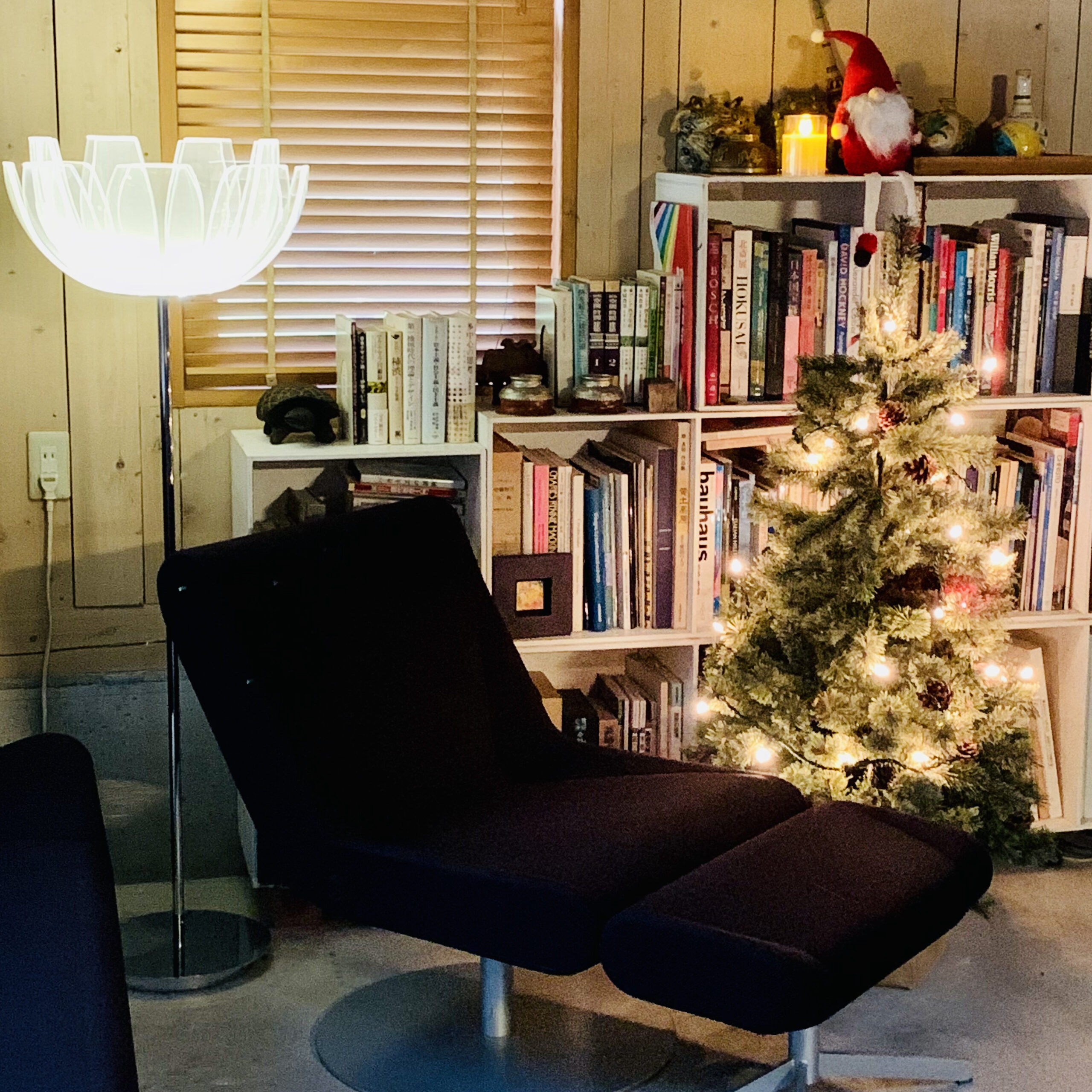 クリスマスツリー　岩井ファーム