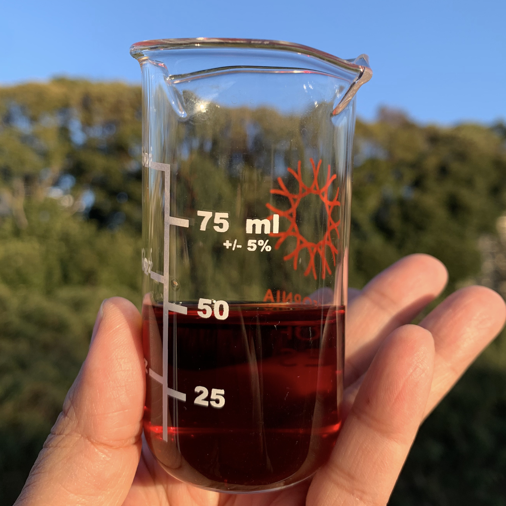 ヨウ素　ペロブスカイト太陽電池