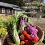 千葉県　野菜王国