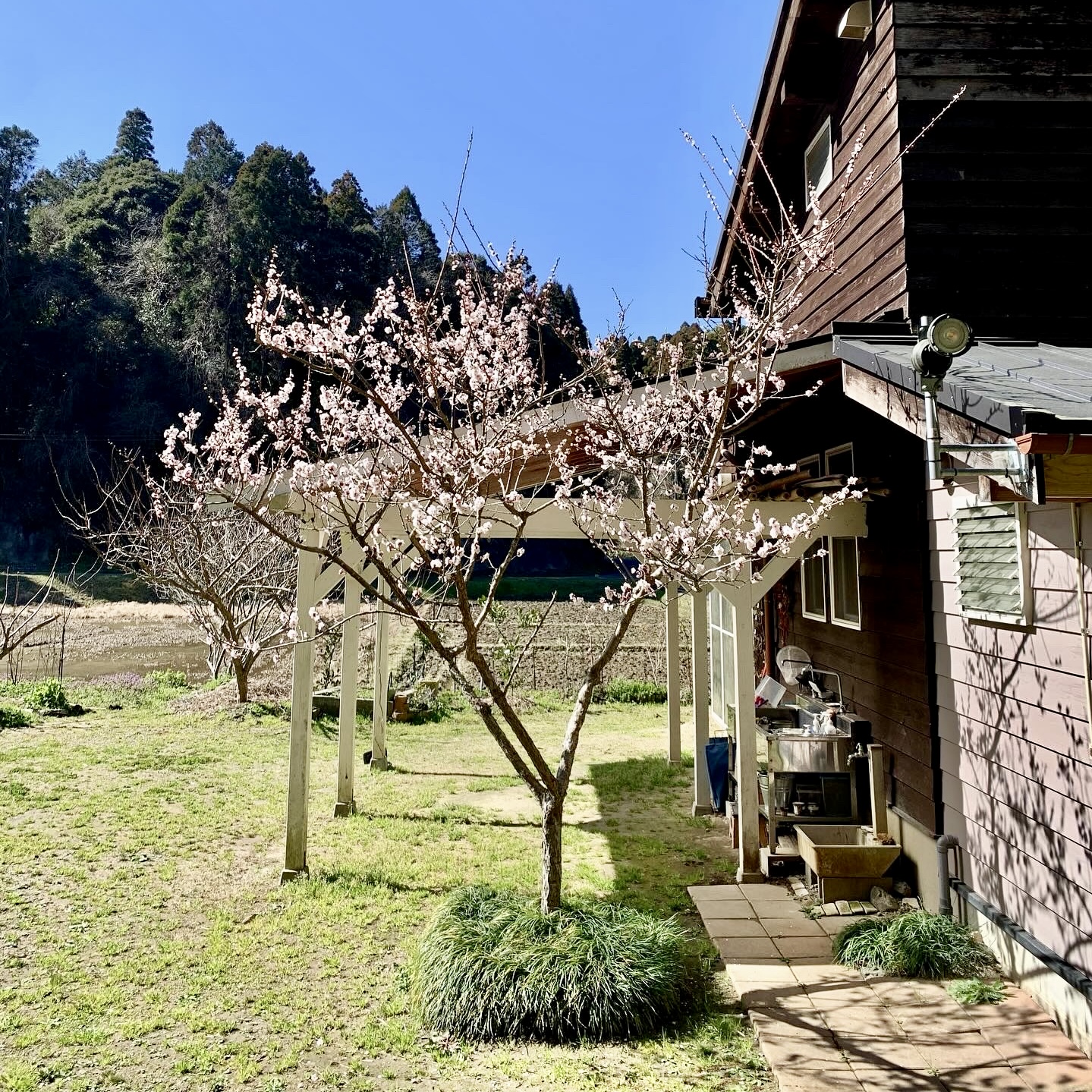 岩井ファーム　ゲストハウス