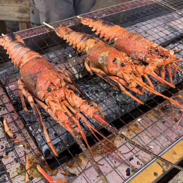 大原漁港　港の朝市